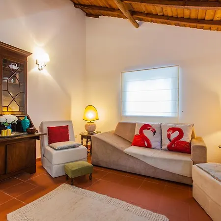 Conde De Ferreira Palace Tomar