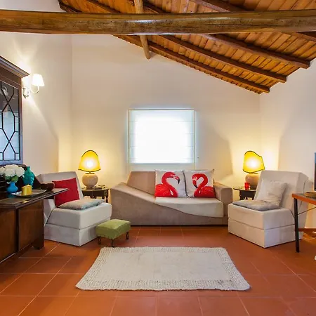 Conde De Ferreira Palace
