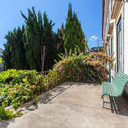 Conde De Ferreira Palace