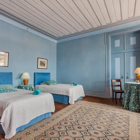 Conde De Ferreira Palace